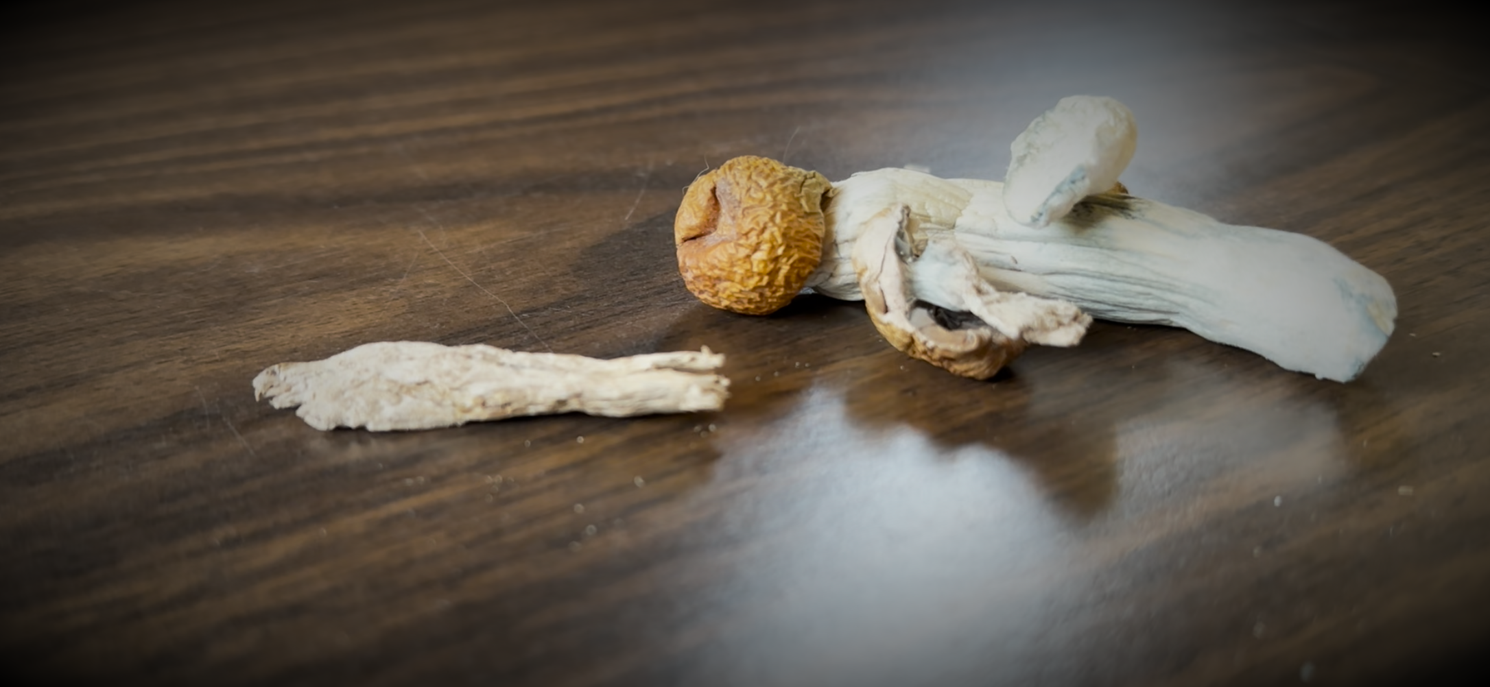 Psychedelic mushrooms lying sideways on a flat surface.
