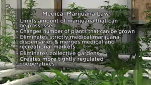 Medical Marijuana Law screen grab